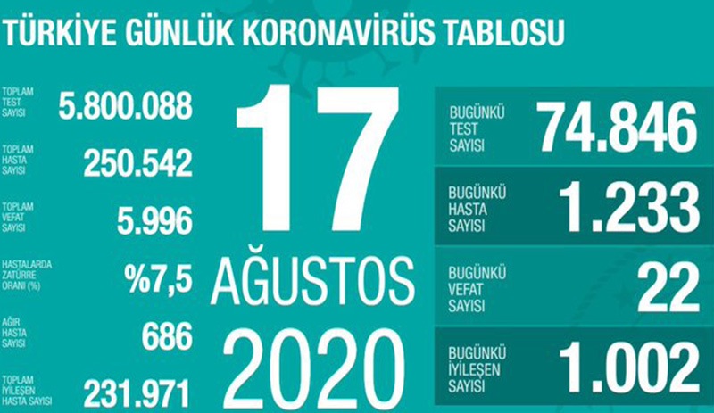 Türkiye'de Coronavirus vaka sayısı 250 bini geçti, ağır hasta sayısı artıyor