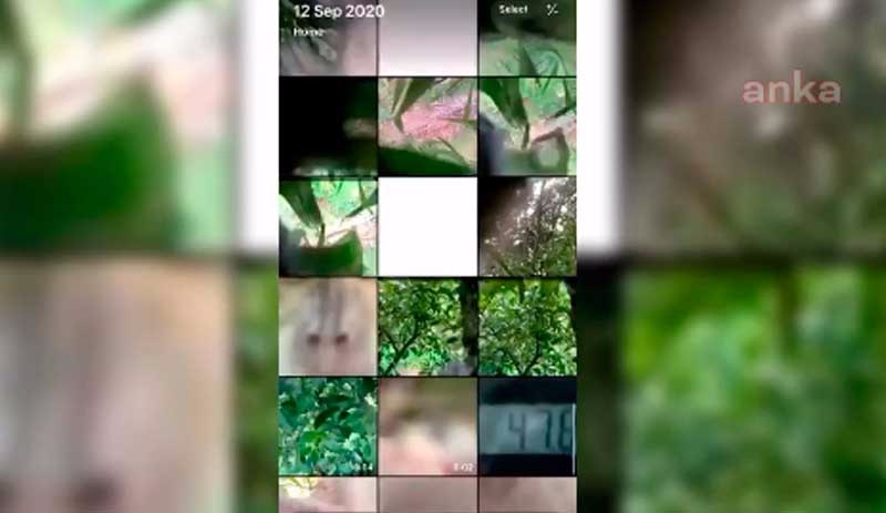 Telefonunu kaybetmişti: Galerisinde maymun fotoğraflarıyla karşılaştı