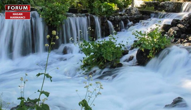 Dersim’in teslimi seçen çocukları