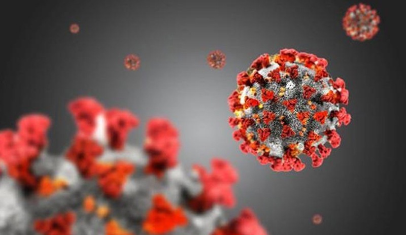 Geçmeyen Coronavirus'ün nedeni ortaya çıktı