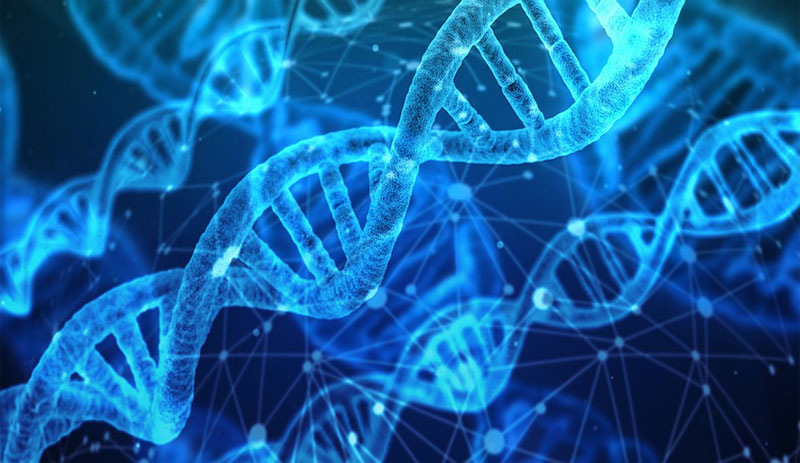 İnsan DNA’sındaki 5 genin Coronavirus ile bağlantısı bulundu