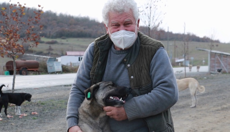 Kendisini hayvanlara adayan emekli öğretmen tedavileri için veterinerlik okudu