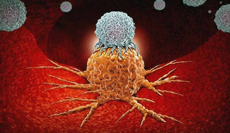 Onkoloji uzmanı Prof. Dr. Karagöl: Kanser bazı durumlarda ve doğum esnasında bulaşabilir