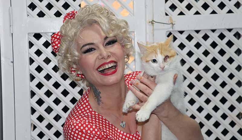 Mardinli 'Marilyn Monroe', kedi sığınma evi kurdu