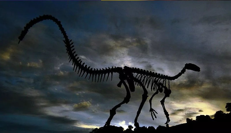 Araştırma: Dünyada 2.5 milyar T-rex dinozor türü yaşamış olabilir