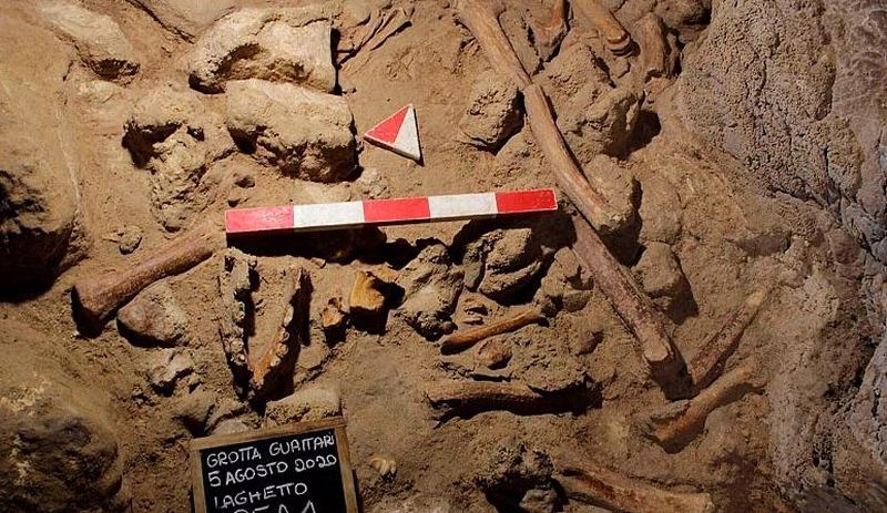 'Tüm dünyada yankı uyandıracak olağanüstü keşif': Mağarada fosilleşmiş 9 neandertal kalıntısı bulundu