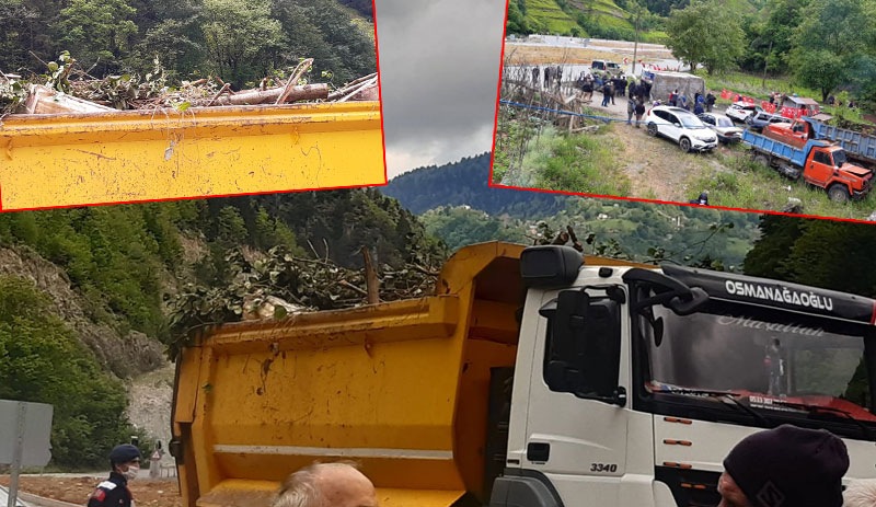 Cengiz İnşaat, Bakan İsmailoğlu'nun ziyareti öncesi katledilen ağaçları taşıdı