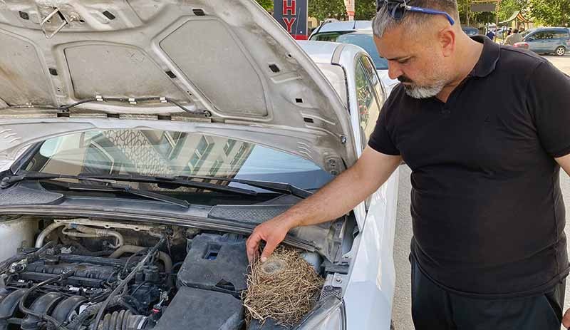 Tam kapanmada motoruna kuşun yuva yaptığı otomobil kiralıktan çıkarıldı