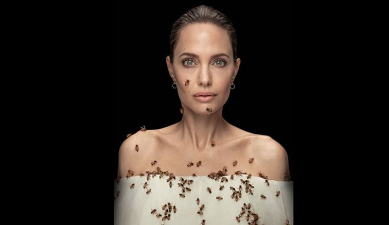 Angelina Jolie, arılar için arılarla objektif karşısına geçti