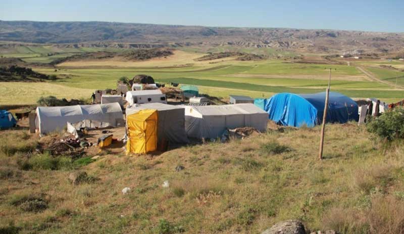 Tarım işçileri yemek yapmak için odun topluyor, su getirmek için 2 kilometre yol yürüyorlar