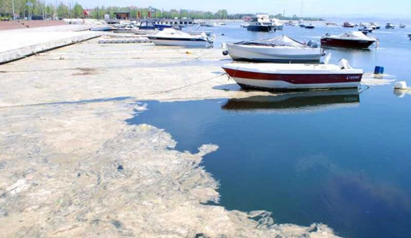 'Marmara Denizi'nin koma halinden çıkması 5-6, denizin sağlıklı hale gelmesi 10-12 yılda olur'