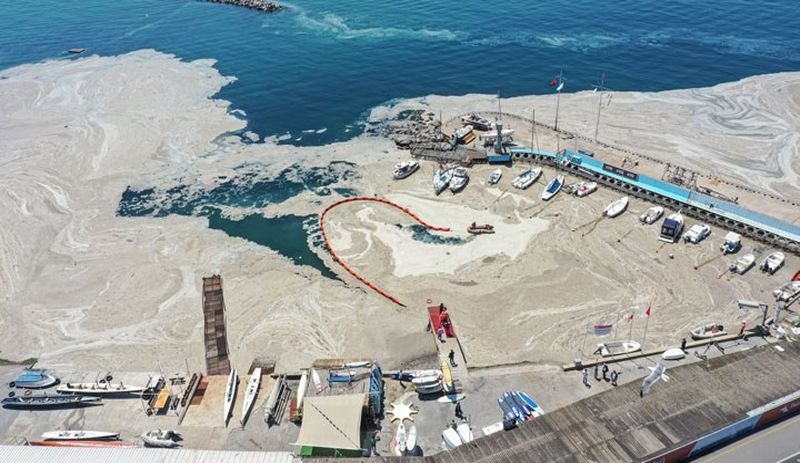 10 yıllık ihmalin sonucu: Marmara Denizi’ndeki müsilajı önleyecek yönetmelik yıllarca raflarda bekletilmiş