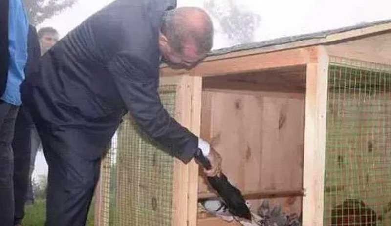 Erdoğan, Hayvanları Koruma Kanunu için 'İnsanlar arasında husumet çıkarmayacak bir formül bulun' dedi