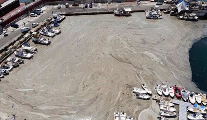 Bakanlığın temizlediği Tekirdağ sahilleri yeniden müsilajla kaplandı