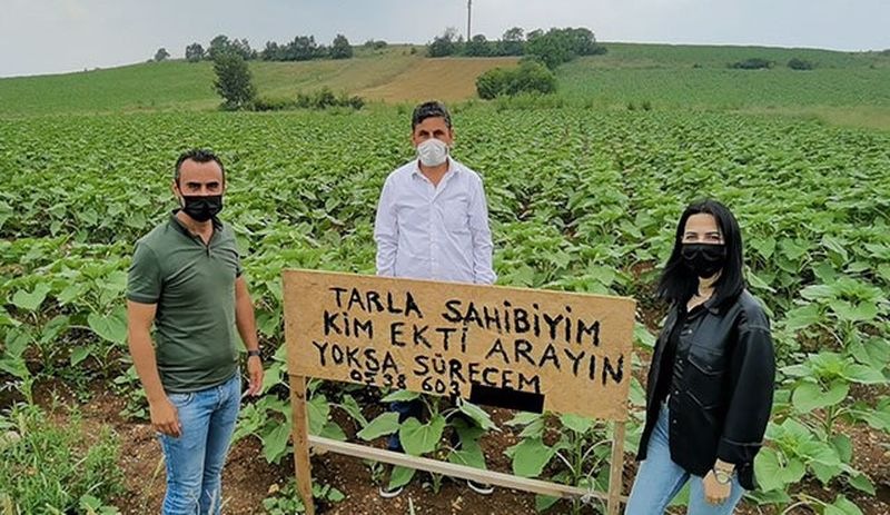 Tarlasına izinsiz ekim yapan kişiyi tabelayla arıyor: Ara yoksa sürecem