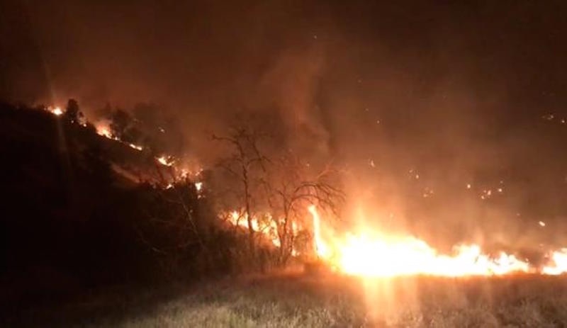 Bingöl Barosu'ndan 'orman yangını' açıklaması: Bu gidişat sadece bir çöl yaratacaktır