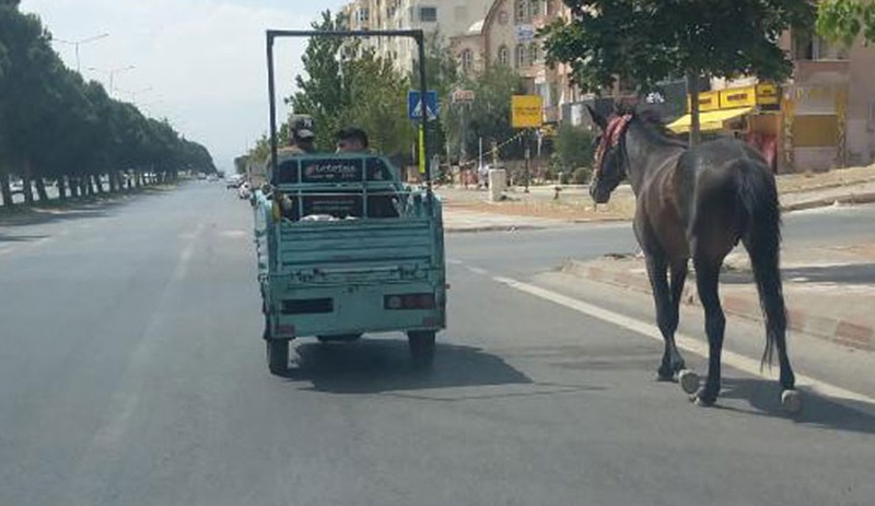 Atı, elektrikli motosiklete bağlayıp çektiler, sadece 4 bin 900 TL ceza aldılar