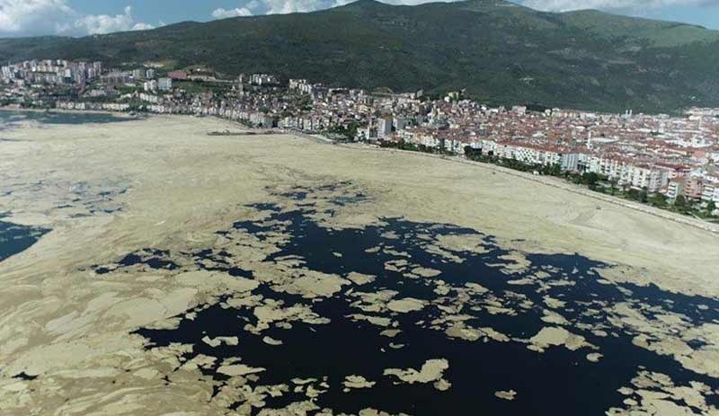 Marmara Denizi'nde müsilaj: Yüzeydeki tabaka hafifledi ama derinlerde durum daha vahim