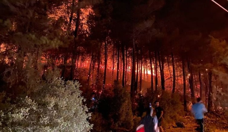 Muğla'nın Fethiye ilçesinde orman yangını