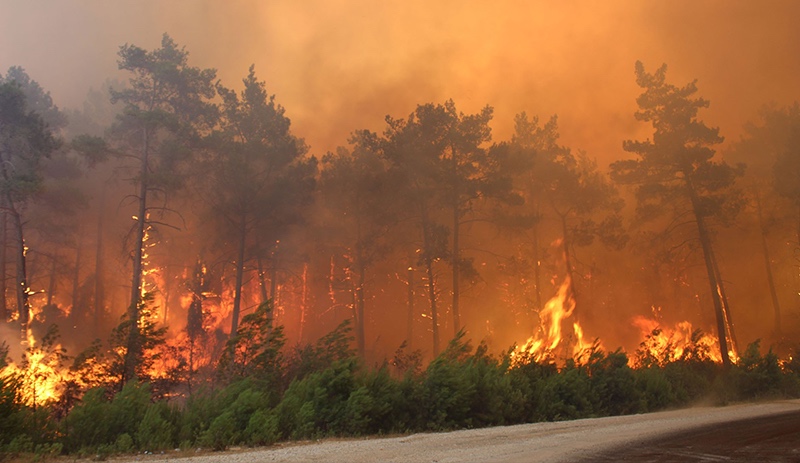 Orman yangınlarında son durum: 5 il olmak üzere 14 yerde yangın devam ediyor