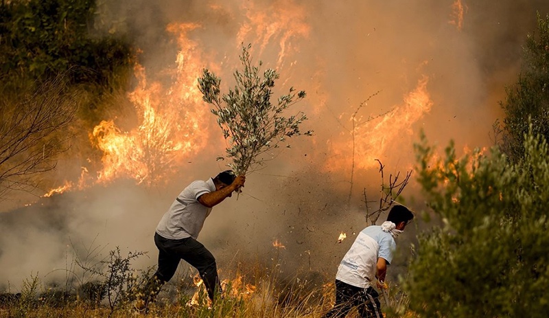 Orman yangınlarında 11. gün: 223 yangından 217'si kontrol altında, 2 ilde 6 noktada devam ediyor