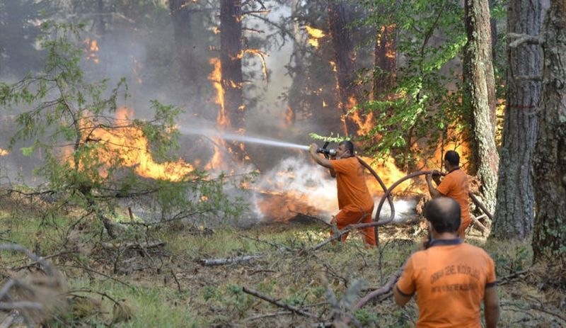 Uçaklar yurt dışından kiralanırken, yangınla mücadele eden orman işçileri kadrosuz çalıştırılıyor