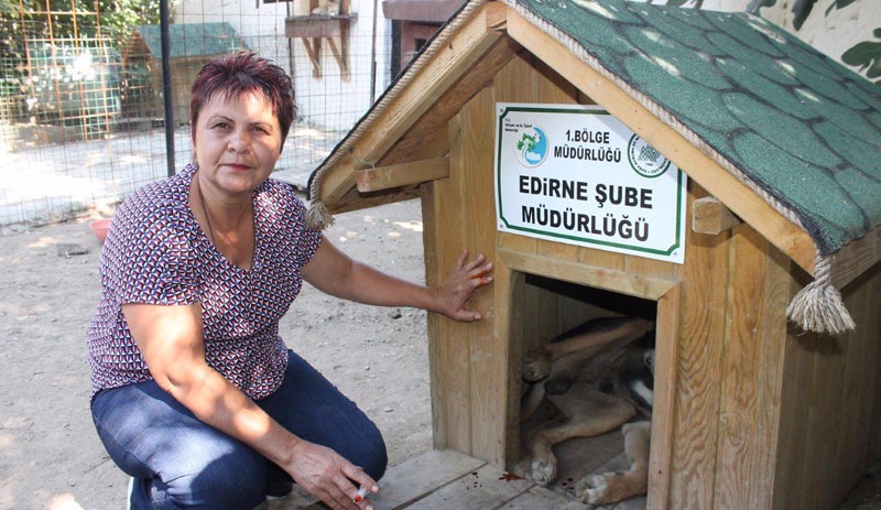 Edirne'de sokak hayvanlarının kulübeleri çalındı