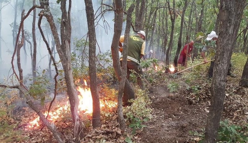 Yurt genelindeki 6 orman yangını kontrol altına alındı, Dersim ise yanmaya devam ediyor
