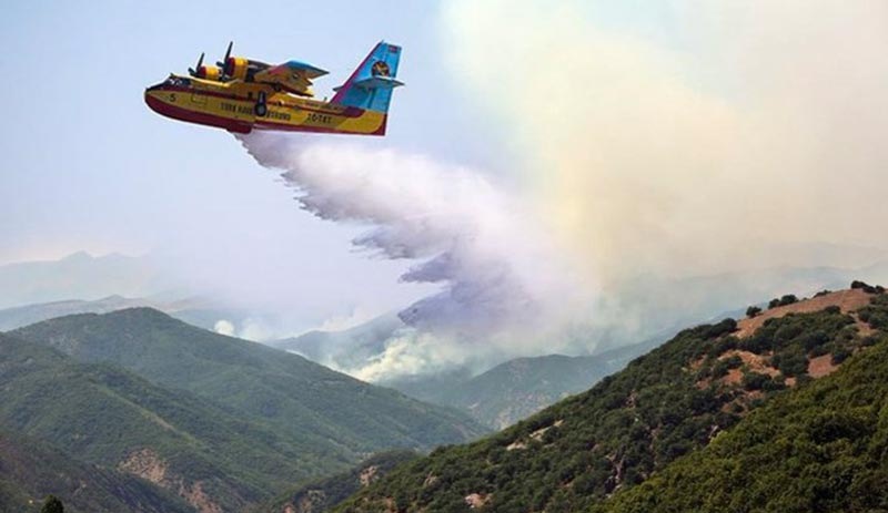 AKP'li başkan Dersim'deki orman yangını 'photoshop'la söndürdü