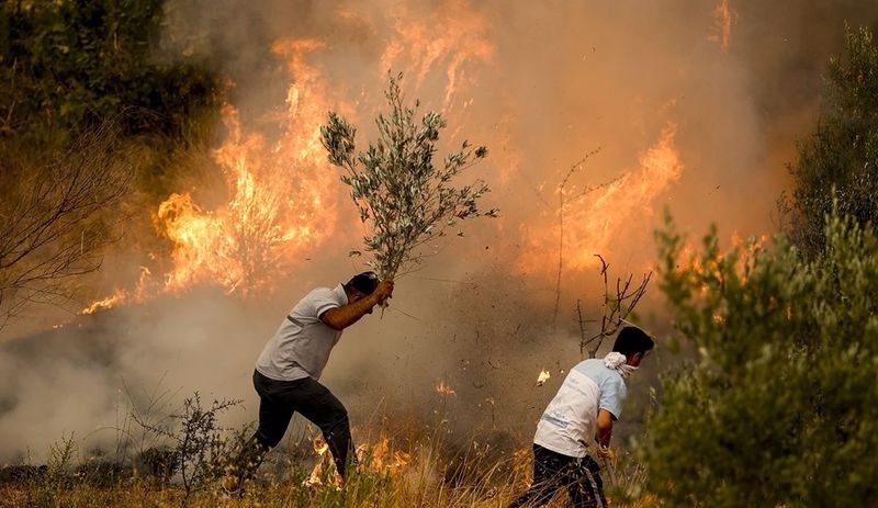 Türkiye 15 yılda 148 bin, 3 haftada 137 bin hektar orman alanını kaybetti