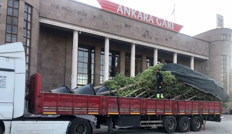 Ankara Valiliği, 10 Ekim’de katledilenleri temsil eden ağaçları kaldırdı
