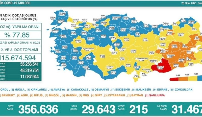 Koronavirüs tablosu: Son 24 saatte 215 can kaybı