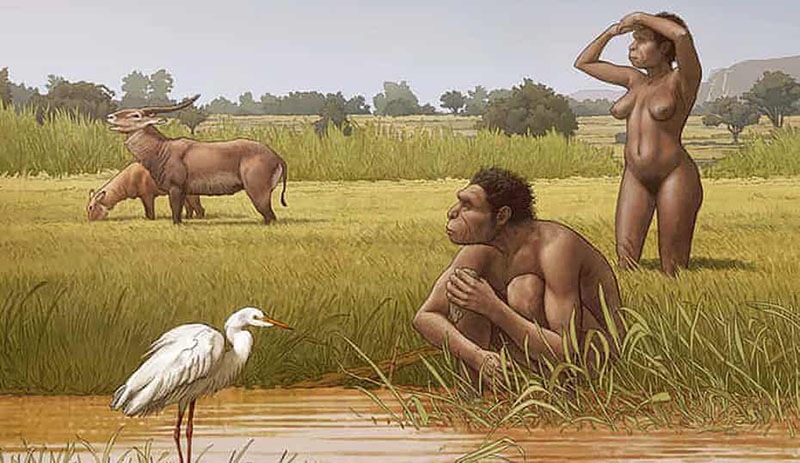 Yeni bir insan türü bulundu: Homo bodoensis