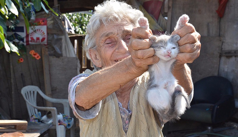 95 yaşındaki kadın 25 kediye bakıyor