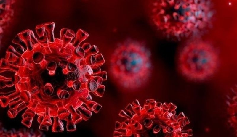 Koronavirüs tablosu: 201 kişi daha hayatını kaybetti, 23 bin 347 yeni vaka