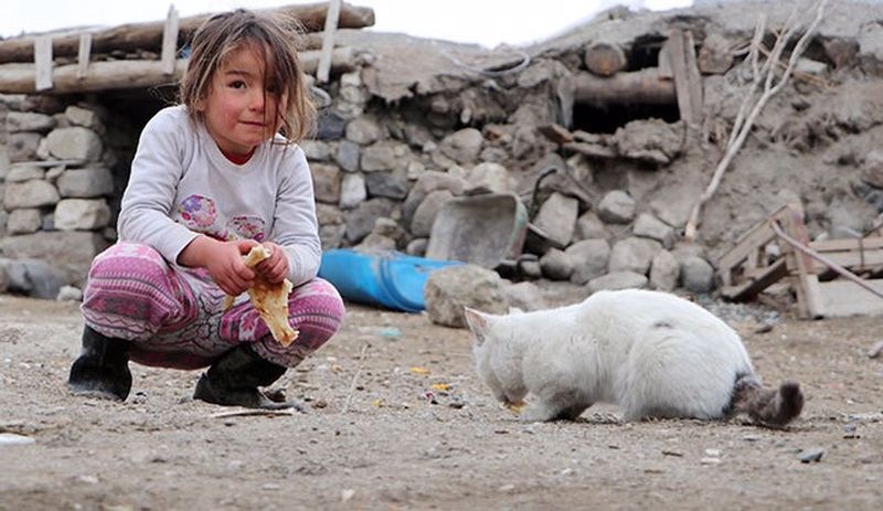 4 yaşındaki depremzede çocuk, dağıtılan ekmeği kedilerle paylaştı