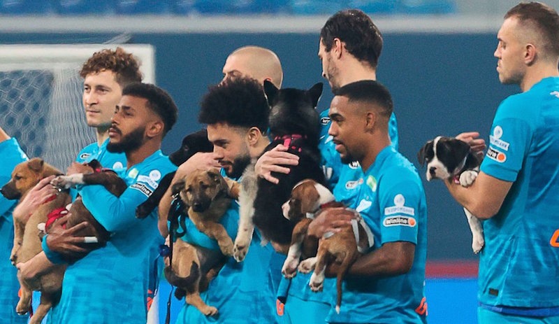 Zenit'ten hayvanseverleri mutlu eden hareket: Sahaya köpeklerle çıktılar