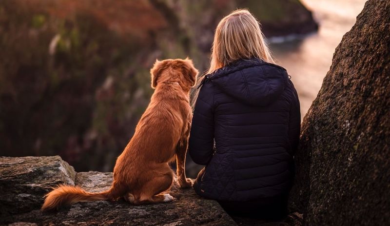 Araştırma: Köpekler insanların 'en eski' dostu