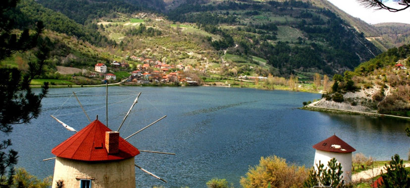 Türkiye'nin yeni sakinleri