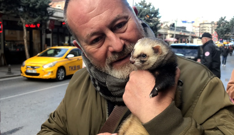 İspanya'dan gelen gelinciği, Türkiye'deki köpekler emzirdi