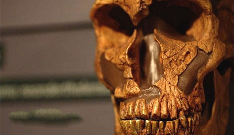 Neandertallerin soyunu modern insanların ataları mı kuruttu?