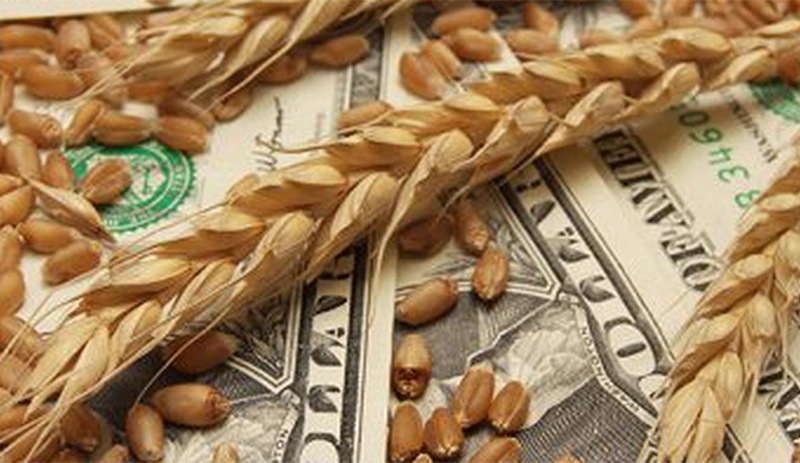Buğdayda 'savaş' tehlikesi: Fiyatlar yüzde 10 ila yüzde 20 civarında artabilir