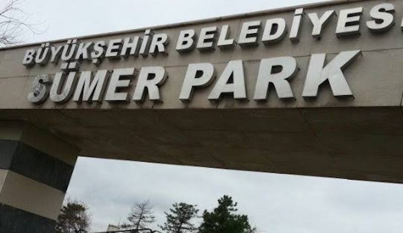 Diyarbakır'da kayyım 'Güvenlik Soruşturması' gerekçesiyle 33 kişiyi işten attı