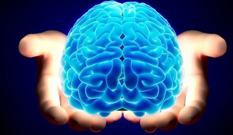 Bir beynimiz olduğu ne zaman anlaşıldı?