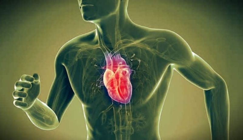 Sporcu takviyelerinin kalp krizi üzerinde bir etkisi var mı?