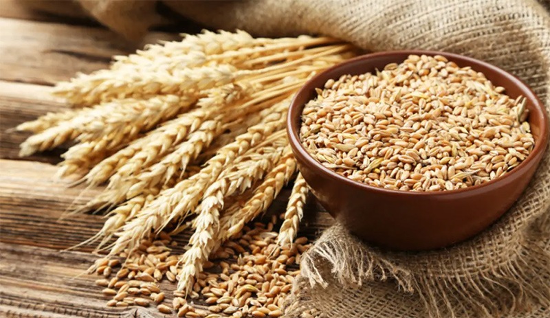 Türkiye'nin buğday ithalatı için yöneldiği Hindistan'da satış durduruldu