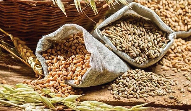 Bir tonu 435 euroya alıcı buldu: Hindistan'ın ihracat yasağı buğday fiyatlarını uçurdu