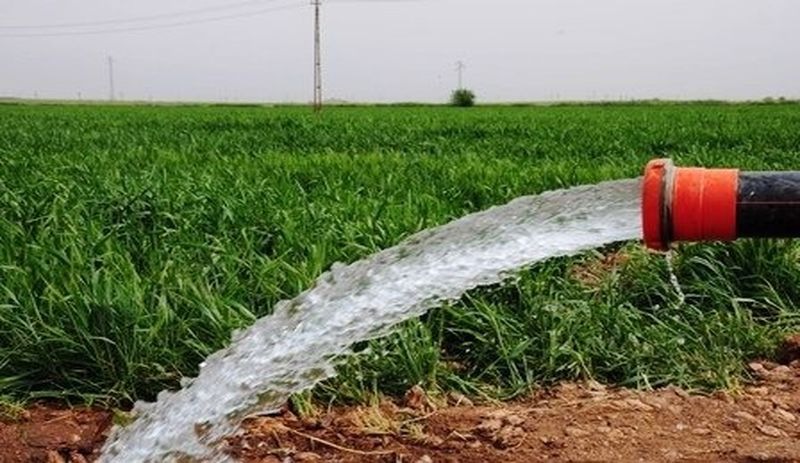 Tarlalarını sulayan çiftçilere ceza: Suyu boşa akıttınız