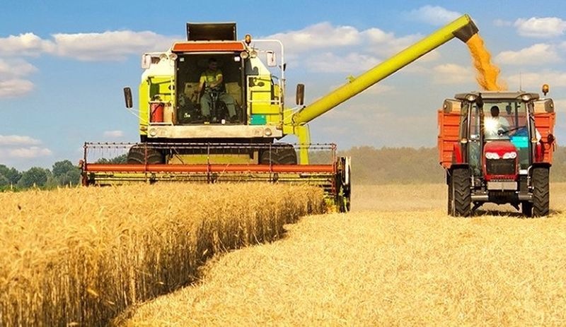 Hükümet, hasat başlamasına rağmen buğday fiyatını açıklamıyor