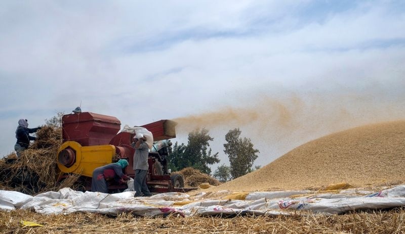 Ukrayna krizi Latin Amerika'yı da vurdu: BM'den 'en şiddetli gıda krizi yaşanabilir' uyarısı